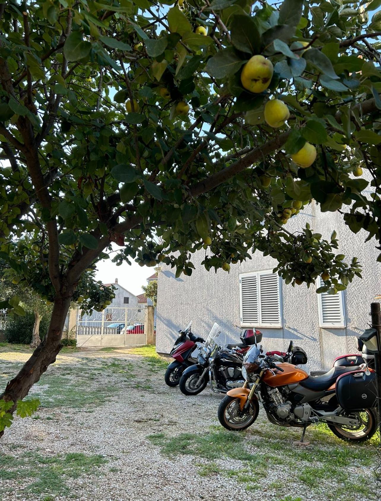 Villa Jadran Zadar Free Parking Sea View Kültér fotó